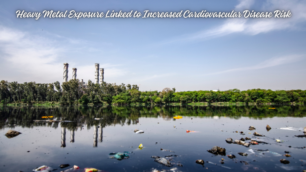 Heavy Metal Exposure Linked to Increased Cardiovascular Disease Risk
