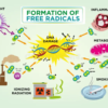 Free-Radicals-and Oxidative-Stress