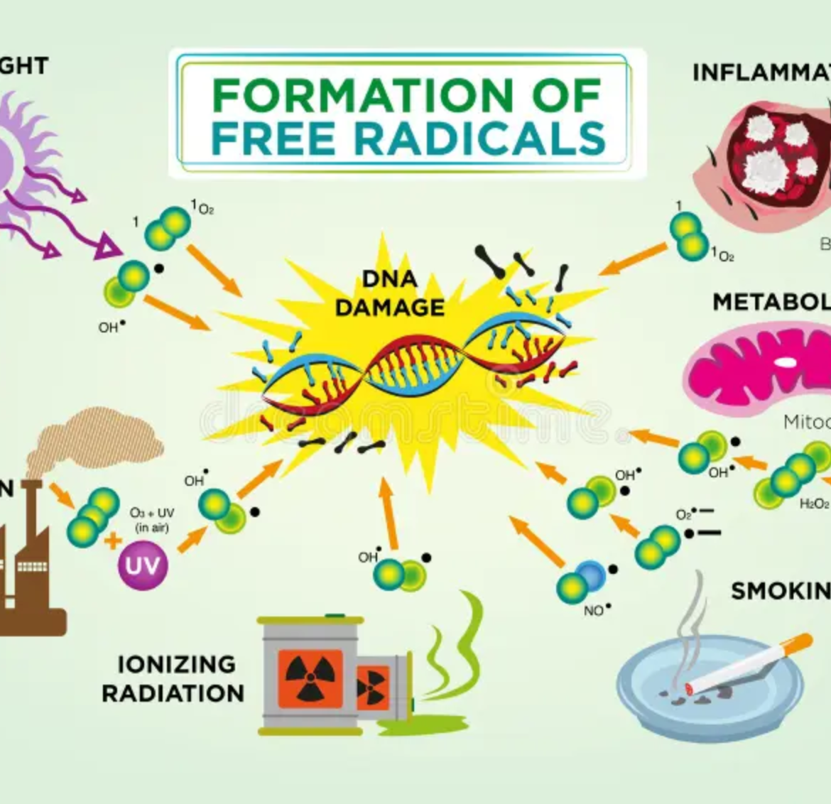 Free-Radicals-and Oxidative-Stress