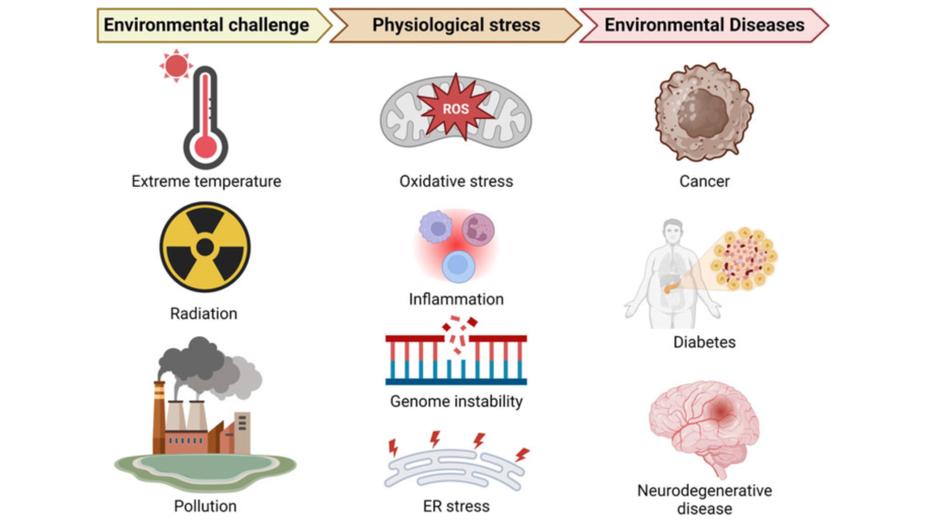 The-Role-of-Oxidative-Stress-in-Disease